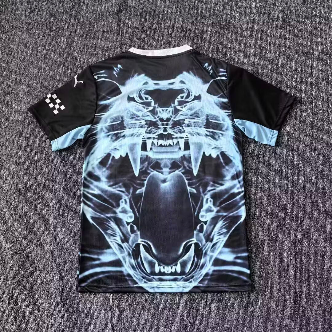 Maillot Manchester City 25-26